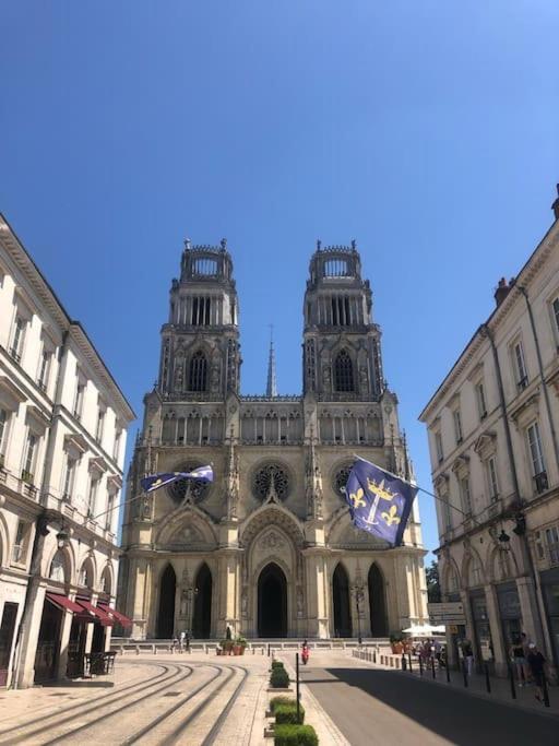 Le Domremy F2 Au Coeur D'Orleans Daire Dış mekan fotoğraf