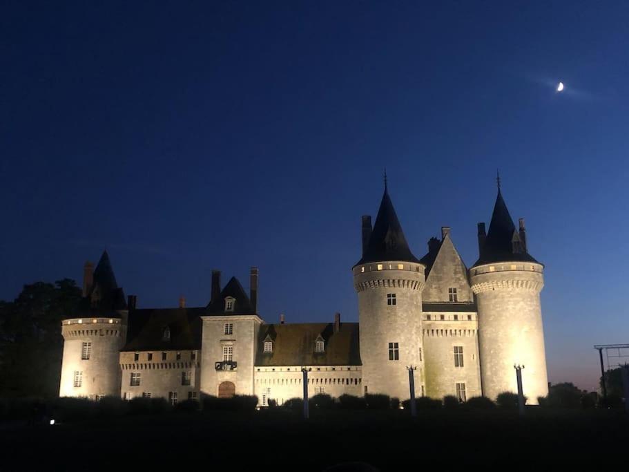Le Domremy F2 Au Coeur D'Orleans Daire Dış mekan fotoğraf