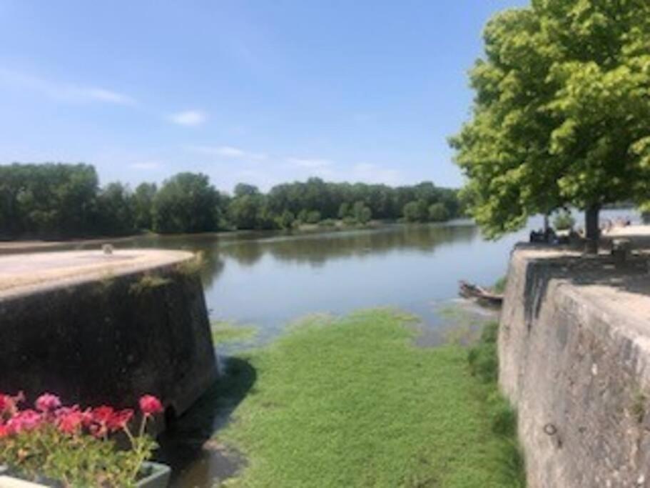 Le Domremy F2 Au Coeur D'Orleans Daire Dış mekan fotoğraf